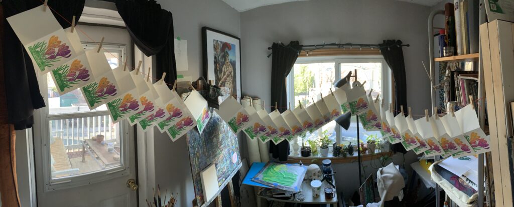 Linoprint cards of crocus flowers hanging to dry with the sun shining behind them in the studio of Corey Waurechen.